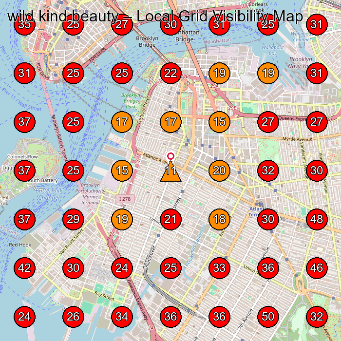wild kind beauty GeoGrid visibility map for Facial Spa in Brooklyn
